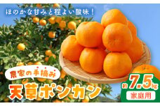 S040-008_農家の手摘み天草ポンカン 約7.5kg 家庭用〈先行受付〉