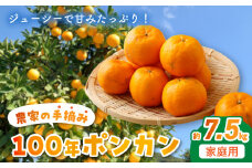 S040-009_農家の手摘み100年ポンカン 約7.5㎏ 家庭用〈先行受付〉