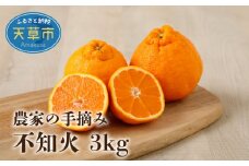 S040-010_農家の手摘み不知火 約3kg〈先行受付〉