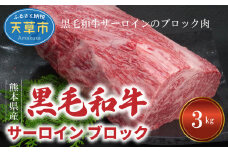 熊本県産 黒毛和牛 サーロイン ブロック 3kg ステーキ ブロック肉_S001-013