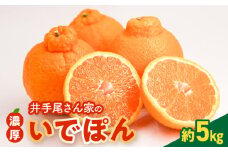 S086-002_井手尾さん家の濃厚いでぽん 不知火 約5kg 柑橘〈先行受付〉