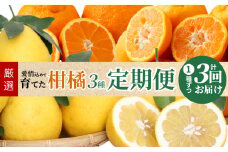 S040-013_【定期便 3回】厳選！天草 下浦地区の農家が愛情込めて育てた柑橘3種〈先行受付〉