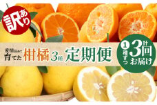 S040-014_【訳あり 定期便3回】天草 下浦地区の農家が愛情込めて育てた柑橘3種〈先行受付〉