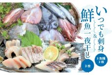 S059-005_いつでも刺身 3魚種 3枚＆鮮魚一夜干し 3枚セット