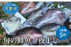 S059-007_旬の鮮魚一夜干しボックス 3種5枚セット 干物