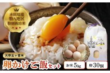 S061-003_天草五ッ星米卵かけご飯セット(お米 5kg 卵 30個)