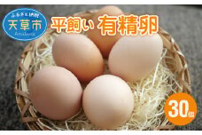 S061-004_平飼い 有精卵 30個 卵 たまご