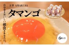 S038-001_天草 タマンゴ 6個 卵