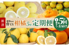 S040-017_【定期便5回】厳選！天草 下浦地区の農家が愛情込めて育てた柑橘5種〈先行受付〉