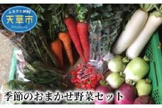 S096-002_季節のおまかせ野菜セット