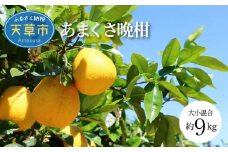 S097-001_あまくさ晩柑 約9kg