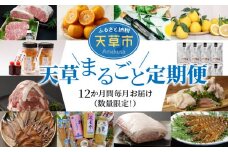 S999-T02_【定期便12回】天草まるごと定期便！12か月間毎月お届け（数量限定！）