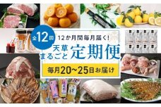 S999-T02_【定期便12回】天草まるごと定期便！12か月間毎月お届け（数量限定！）