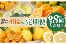 S040-019_【定期便8回】天草 下浦地区の農家が愛情込めて育てた柑橘8種食べ尽しコース〈先行受付〉