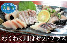 S059-009_わくわく刺身セットプラス