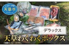 S059-010_天草わくわくボックスデラックス