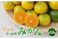S040-020_早摘み 早生温州みかん 約7.5kg 〈先行受付〉