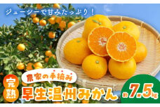 S040-021_農家の手摘み 完熟早生温州みかん 約7.5kg 【先行受付】