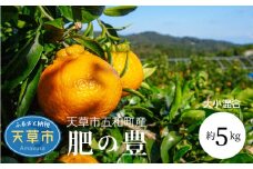 S097-002_天草市五和町産　肥の豊　約5kg〈先行予約〉