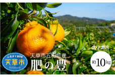 S097-003_天草市五和町産　肥の豊　約10kg〈先行予約〉
