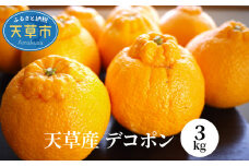 S107-003_天草産　デコポン　3kg〈先行受付〉