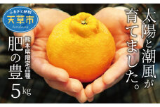 S110-001_熊本県天草産　肥の豊５kg　2Lサイズ〈先行予約〉