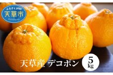 S107-004_天草産　デコポン　5kg〈先行受付〉