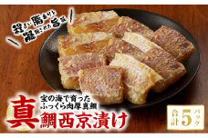 S106-006_西京漬け【5P】