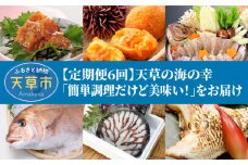 S999-T03_【定期便6回】天草の海の幸「簡単調理だけど美味い！」をお届け