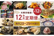 S999-T04_【定期便12回】天草市堪能12ヵ月定期便