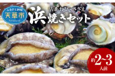 S002-017_天草産 活あわび・さざえ　浜焼きセット　　約2～3人前