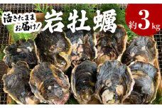 S002-019_岩牡蠣　約3kg　約3人前【先行受付】