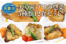 S010-064_ブリの惣菜5種類12食セット