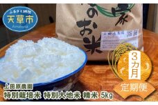 S051-T04_【3ヶ月定期便】特別栽培米 特別大地米 精米 5kg