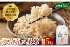 S061-T07_【3ヶ月定期便】特別栽培米 天草五ッ星米 玄米 5kg
