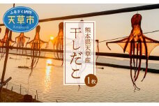 S116-001_熊本県天草産干しだこ　1枚
