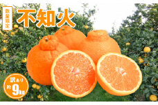 S086-007_訳あり 不知火 約 9kg 数量限定〈先行受付〉