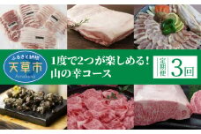 S999-T07_【定期便3回】1度で2つが楽しめる！山の幸コース