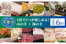 S999-T09_【定期便6回】1度で2つが楽しめる！山の幸 × 海の幸