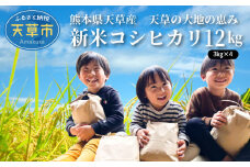 S108-004_〈令和7年産〉熊本県天草産　天草の大地の恵み　新米コシヒカリ12㎏