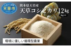 S109-004_〈令和7年産〉熊本県天草産　天草コシヒカリ12kg（3kg×４） 【先行予約】 新米 令和7年産 コシヒカリ 12kg 精米 3kg × 4袋 単一原料米 国産 米 お米 白米 甘み 香り ツヤ 粘り バランス 美味しい ごはん おにぎり 弁当 おむすび 土作り こだわり 小分け 冷蔵庫 保管可能 お取り寄せ 食品 九州 熊本県 天草市 送料無料