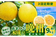 S040-024_【定期便3回】もぎたて！！ 愛情たっぷりあまくさ木成り晩柑食べ比べコース