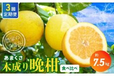 S040-024_【定期便3回】もぎたて！！ 愛情たっぷりあまくさ木成り晩柑食べ比べコース