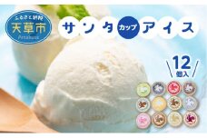 S030-003_サンタカップアイス　12個入り