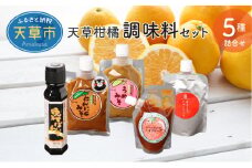 S024-005_天草柑橘　調味料セット