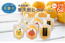 S024-004_天草柑橘　寒天飲むゼリーセット