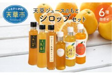 S024-006_天草ジュースのもと　シロップセット