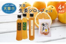 S024-008_天草　生姜シロップセット