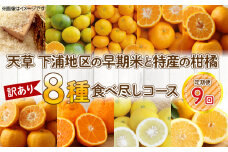 S040-T01_【定期便9回】天草 下浦地区の早期米と特産の柑橘8種食べ尽しコース(訳あり)【先行受付】