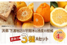 S040-T02_【定期便4回】天草 下浦地区の早期米と特産の柑橘3種Ａセット(訳あり)【先行受付】